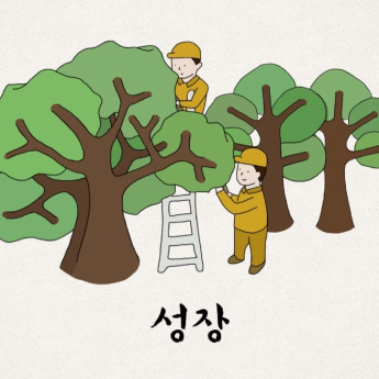 한국인의 일생을 닮은, 소나무